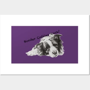 Border Collies Rock Posters and Art